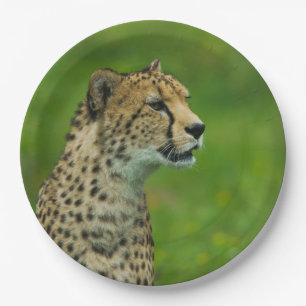 Cheetah On A Lookout Paper Plates