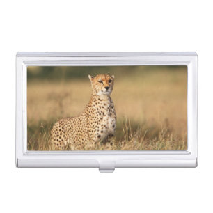 Cheetah on small mound for better visibility business card holder