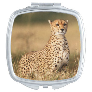 Cheetah on small mound for better visibility makeup mirror
