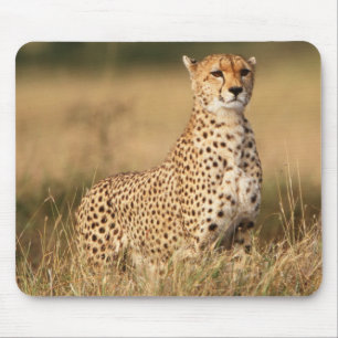 Cheetah on small mound for better visibility mouse pad