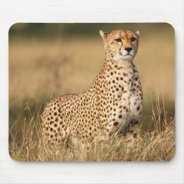 Cheetah on small mound for better visibility mouse pad (Front)