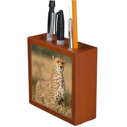 Cheetah on small mound for better visibility PencilPen holder