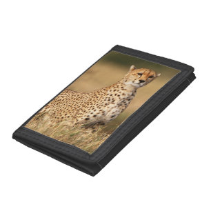 Cheetah on small mound for better visibility tri-fold wallet