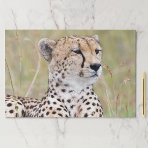 Cheetah Paper Pad