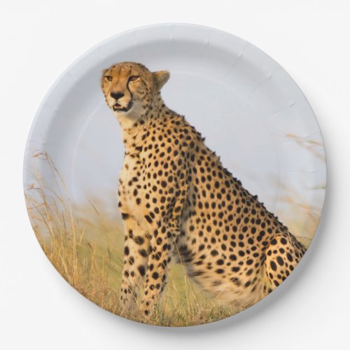 Cheetah Paper Plates