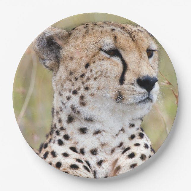 Cheetah Paper Plates (Front)