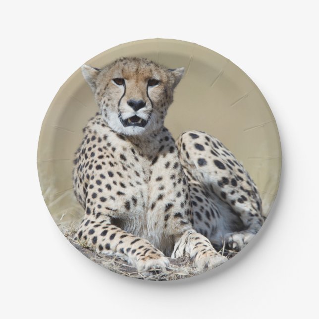 Cheetah Paper Plates (Front)