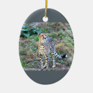 Cheetah Photo Ceramic Ornament