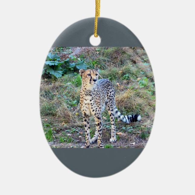 Cheetah Photo Ceramic Ornament (Front)