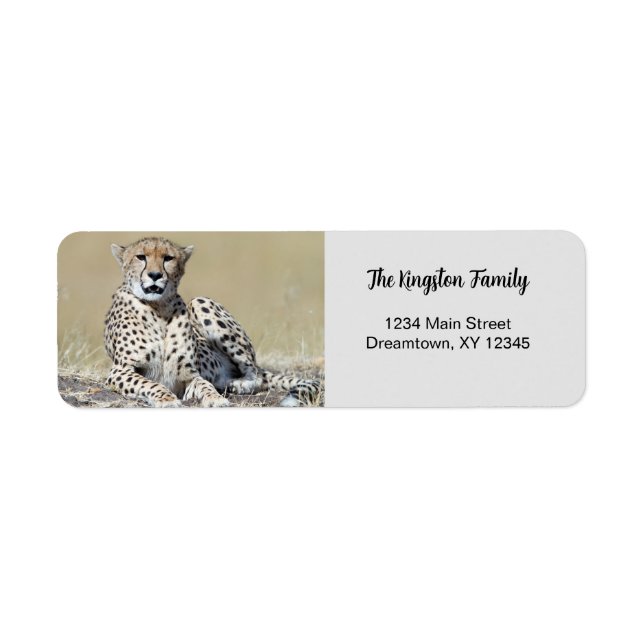 Cheetah photo personalized Return Address Label (Front)