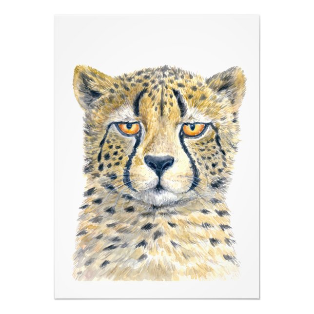 Cheetah Photo Print (Front)