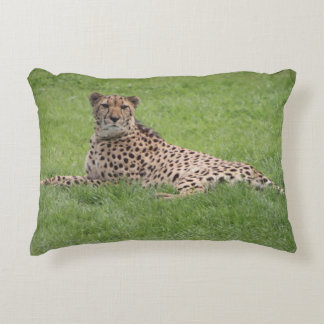 Cheetah Pillow