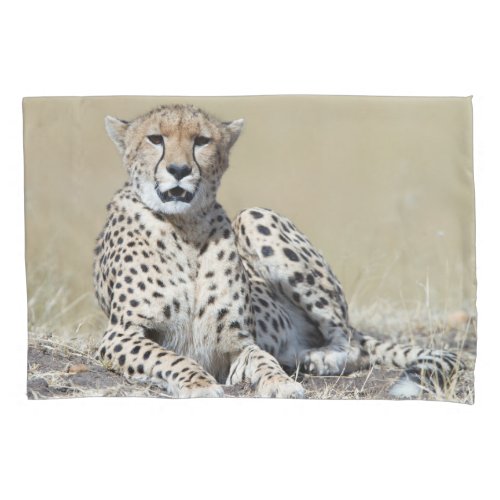 Cheetah Pillow Case
