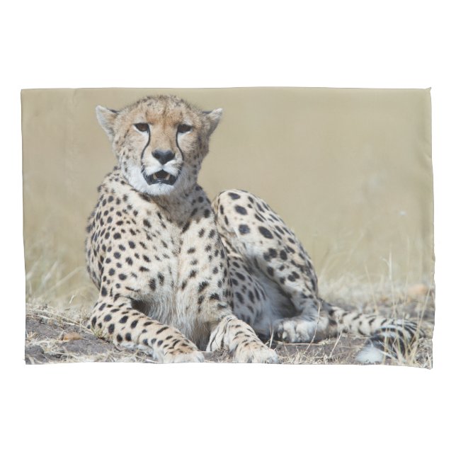 Cheetah Pillow Case (Front)