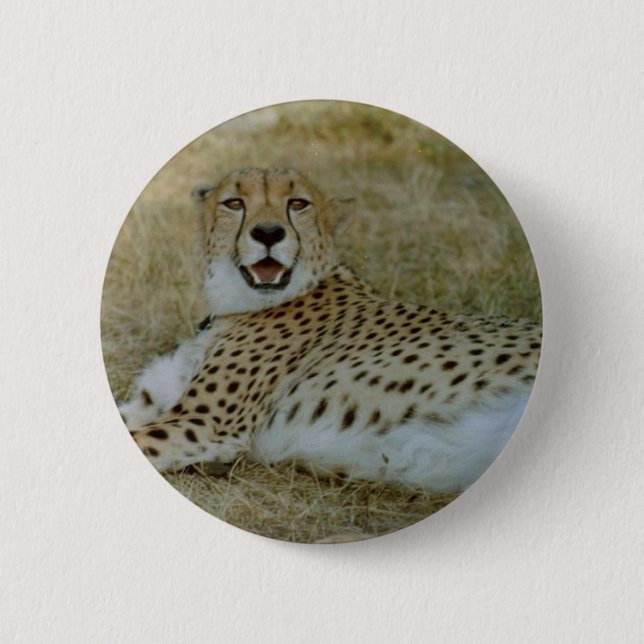 Cheetah Pinback Button (Front)
