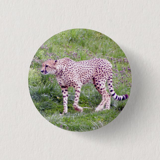 Cheetah Pinback Button (Front)