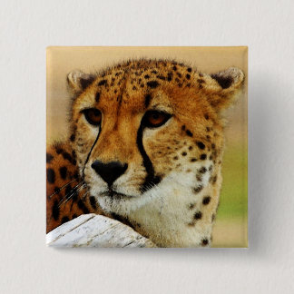 Cheetah Pinback Button