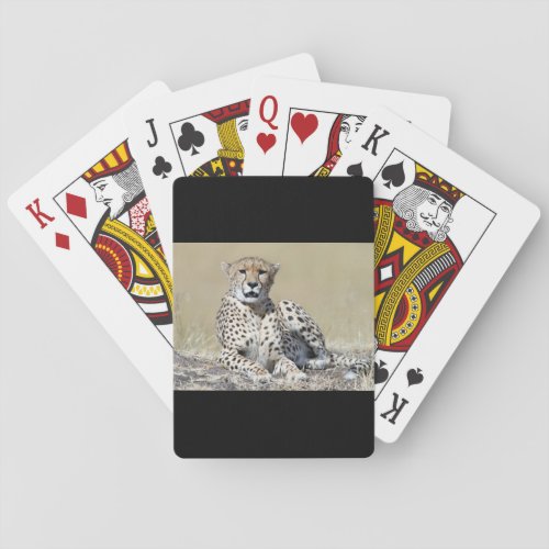 Cheetah Playing Cards