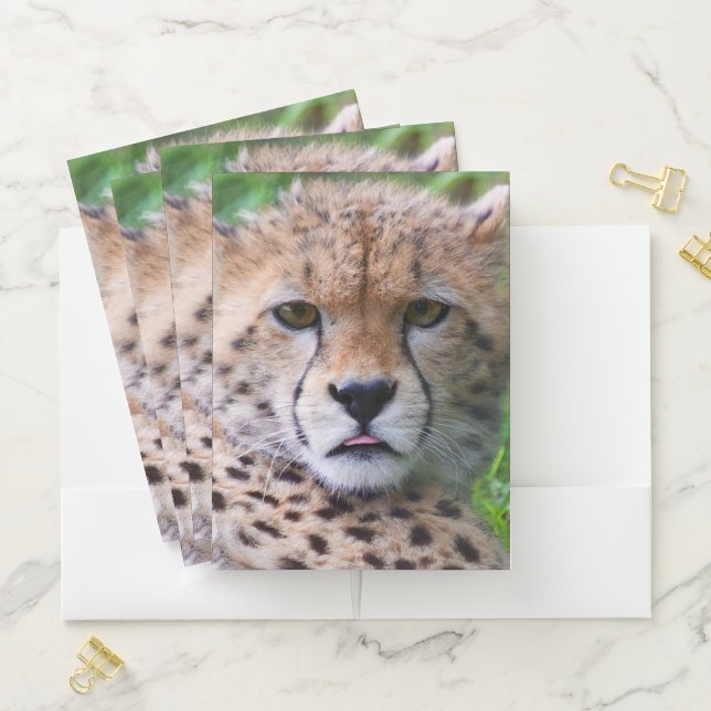 Cheetah Pocket Folder (In Situ)