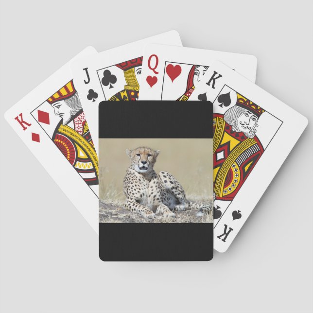Cheetah Poker Cards (Back)