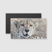 Cheetah Portrait (Front/Back)