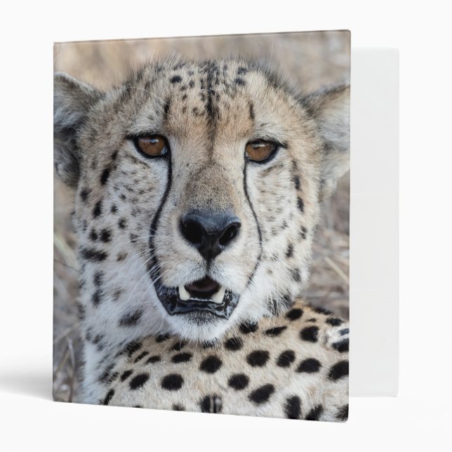 Cheetah Portrait 3 Ring Binder (Front/Inside)
