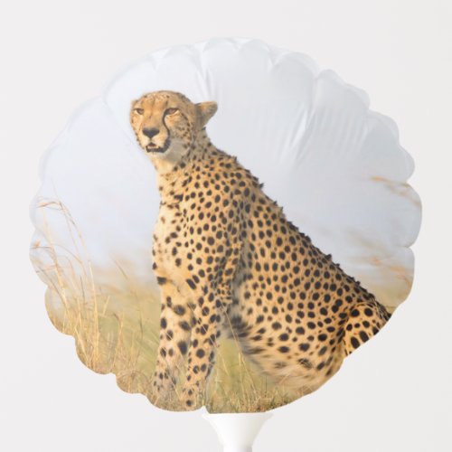 Cheetah Portrait Balloon