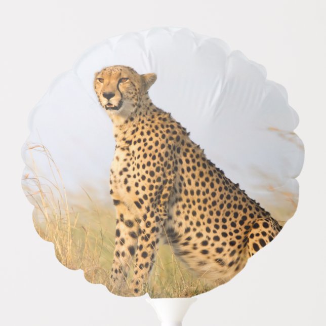 Cheetah Portrait Balloon (Front)