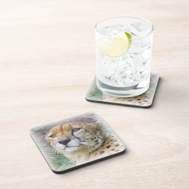 Cheetah portrait beverage coaster (Right Side)