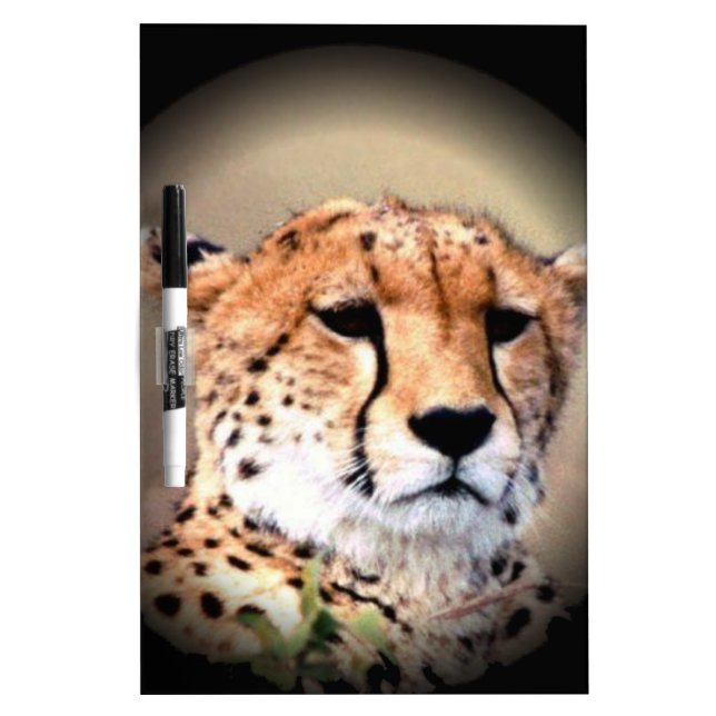 Cheetah Portrait by Full Moon: Nature's Grace Dry-Erase Board (Front)