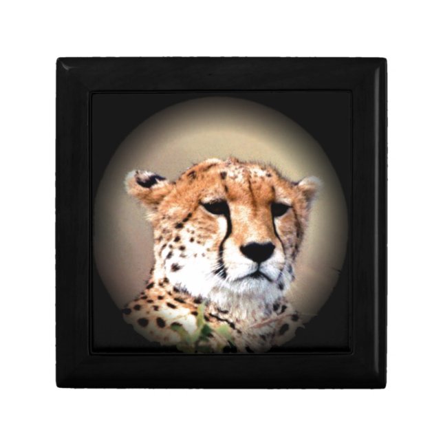 Cheetah Portrait by Full Moon: Nature's Grace Jewelry Box (Front)