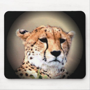 Cheetah Portrait by Full Moon: Nature's Grace Mouse Pad