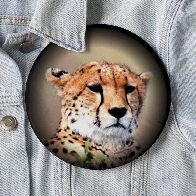 Cheetah Portrait by Full Moon: Nature's Grace Pinback Button (In Situ)
