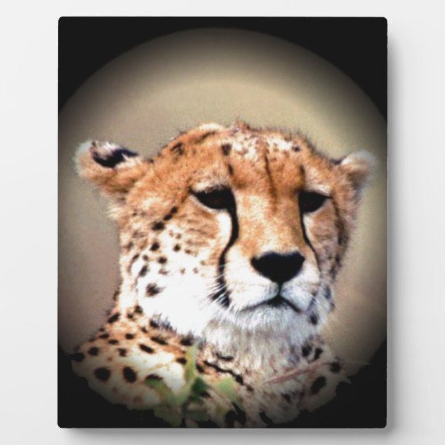 Cheetah Portrait by Full Moon: Nature's Grace Plaque (Front)