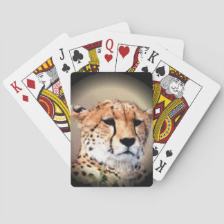 Cheetah Portrait by Full Moon: Nature's Grace Poker Cards