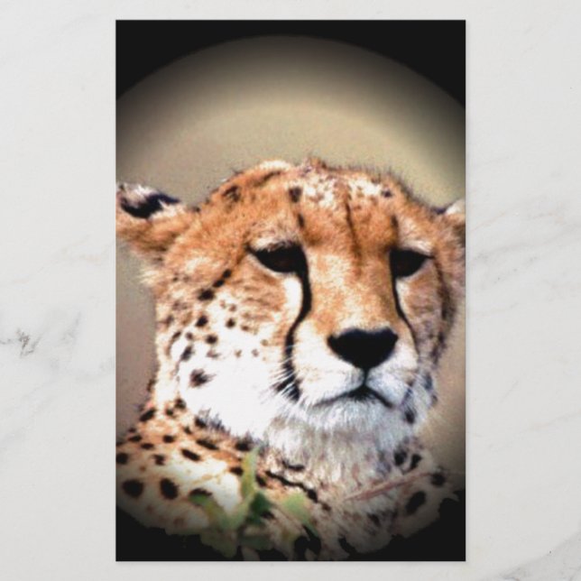 Cheetah Portrait by Full Moon: Nature's Grace Stationery (Front)