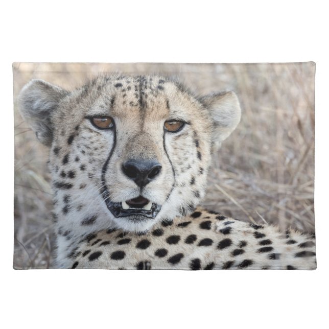 Cheetah Portrait Cloth Placemat (Front)