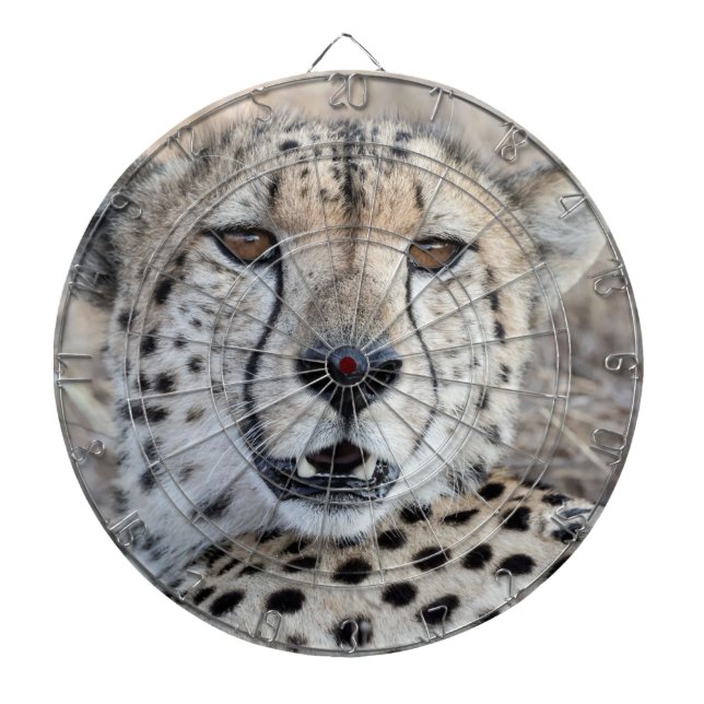 Cheetah Portrait Dart Board (Front)