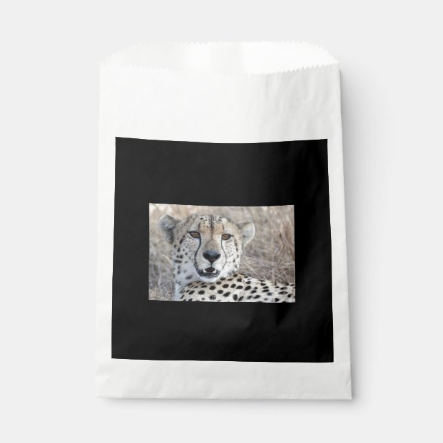 Cheetah Portrait Favor Bag (Front)