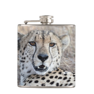 Cheetah Portrait Flask