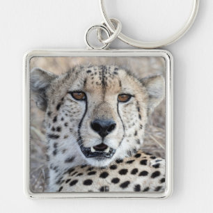 Cheetah Portrait Keychain