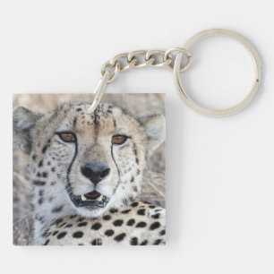 Cheetah Portrait Keychain