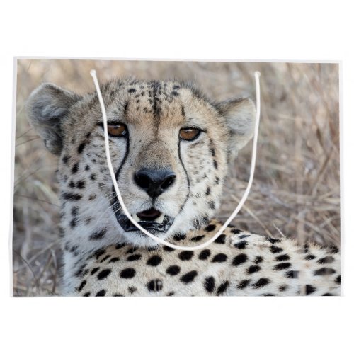 Cheetah Portrait Large Gift Bag