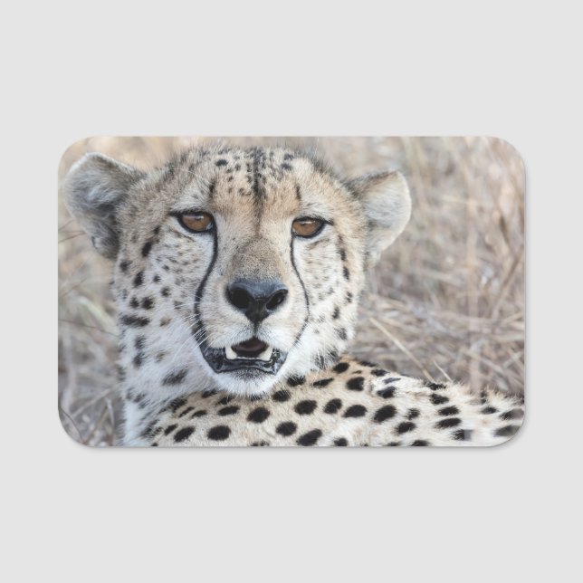 Cheetah Portrait Name Tag (Front)