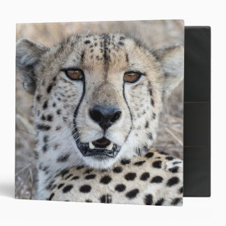 Cheetah Portrait photo 3 Ring Binder