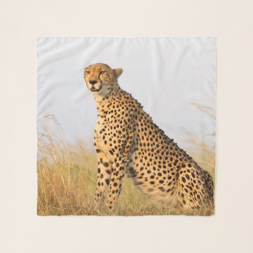 Cheetah Portrait Scarf