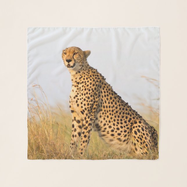 Cheetah Portrait Scarf (Front)