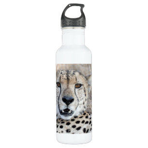 Cheetah Portrait Stainless Steel Water Bottle