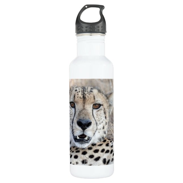Cheetah Portrait Stainless Steel Water Bottle (Front)