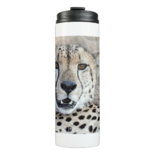 Cheetah Portrait Thermal Tumbler